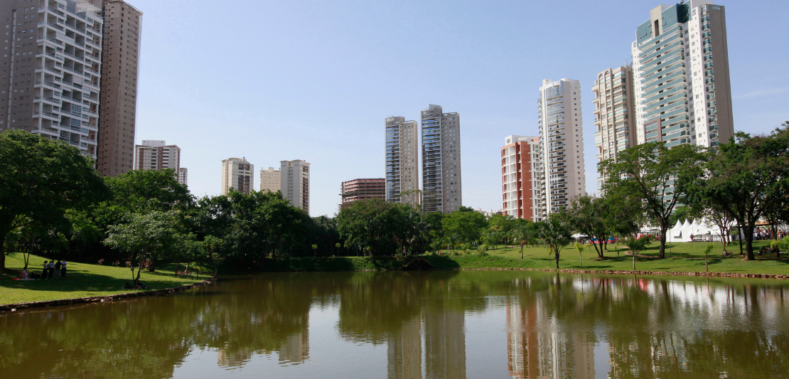 sugar baby em goiânia