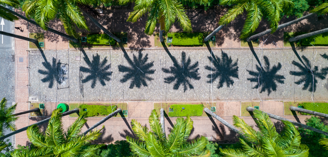 Sugar Daddy em Belo Horizonte: Onde Encontrar Homens de Alto Nível